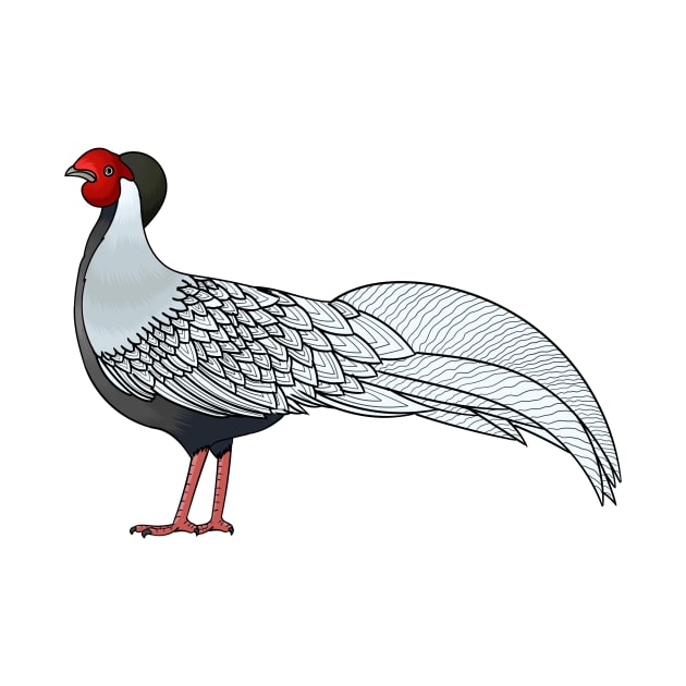 Silver pheasant bird cartoon illustration by Cartoons of fun