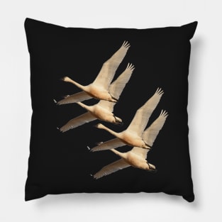 Four Swans Pillow