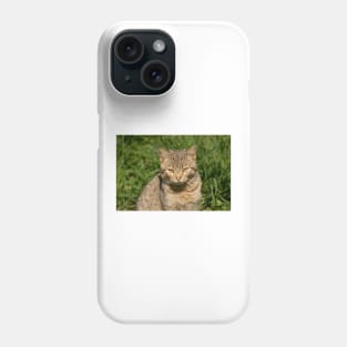 slb kitty Phone Case