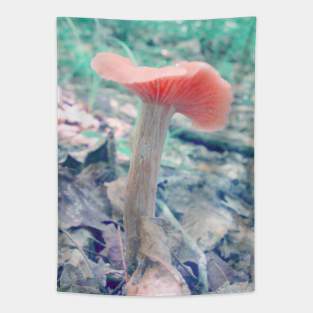 Pink Mushroom Tapestry