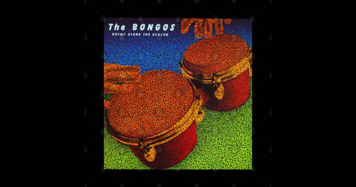 Drums Along the Hudson 1982 Throwback The Bongos Posters and Art