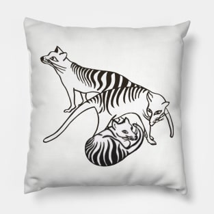 White Tassie Tiger Trio at Rest Pillow