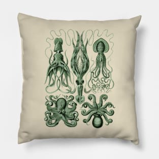 Ernst Haeckel Gamochonia Octopus Green Pillow