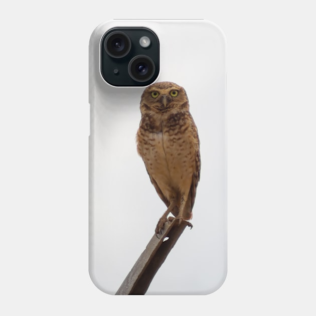 owl Phone Case by rickylabellevie