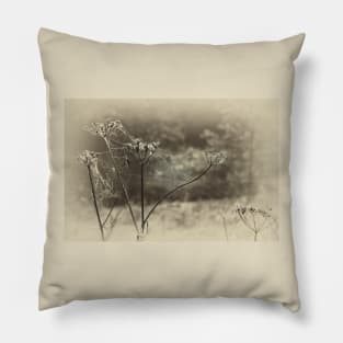 Artistic Spider's web Pillow