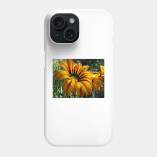 Gazania 10 Phone Case