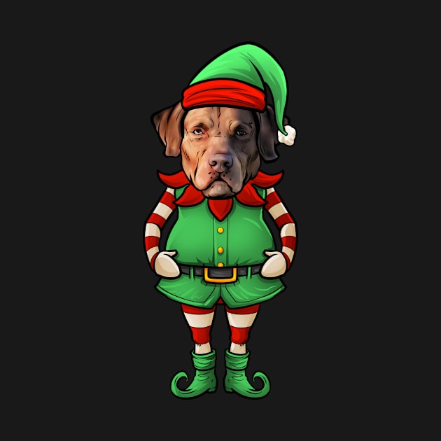 Chesapeake Bay Retriever Christmas Elf by whyitsme