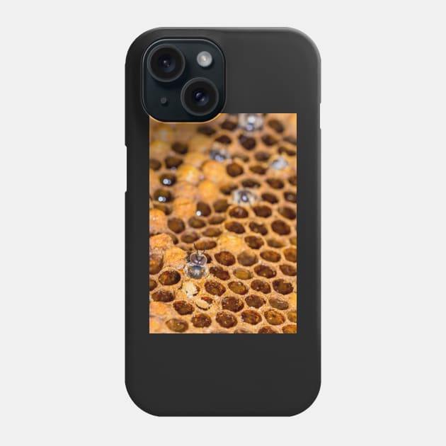 A drone hatches Phone Case by mbangert
