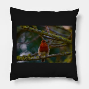 beautiful red breasted robin in mid song on tree branch Pillow