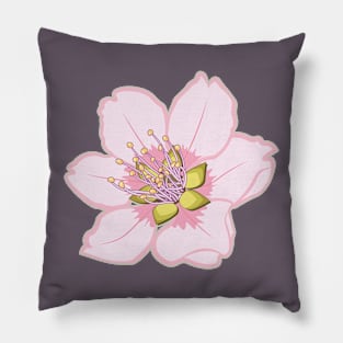 Sakura Cherry Blossom Flower Vector Design Pillow