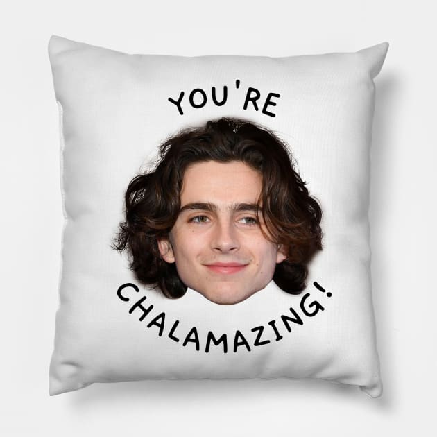 Funny actor Pillow by LukasianArt