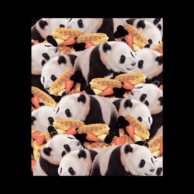 Funny Panda Waffles Crazy Collage by Random Galaxy