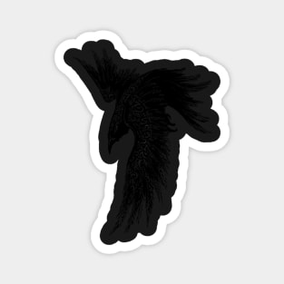 black crow Magnet