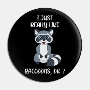 I just really like Raccoons, OK ? Pin