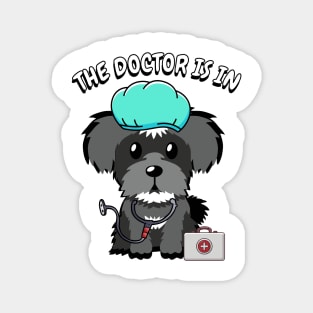 Cute schnauzer dog is a doctor Magnet