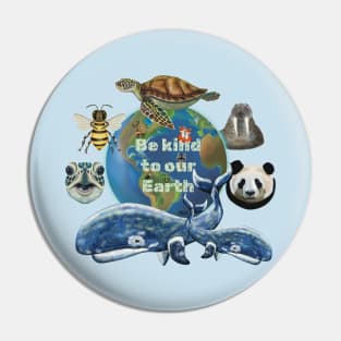 Be kind to our Earth Pin