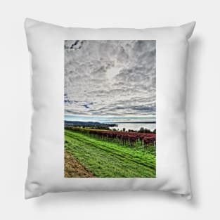 Autumn at Lake Constance, Germany Pillow