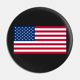 U.S. Flag Pin