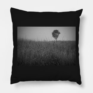 Summer Fog Pillow