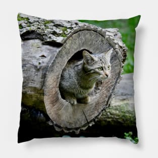 Wild cat IV/ Swiss Artwork Photography Pillow