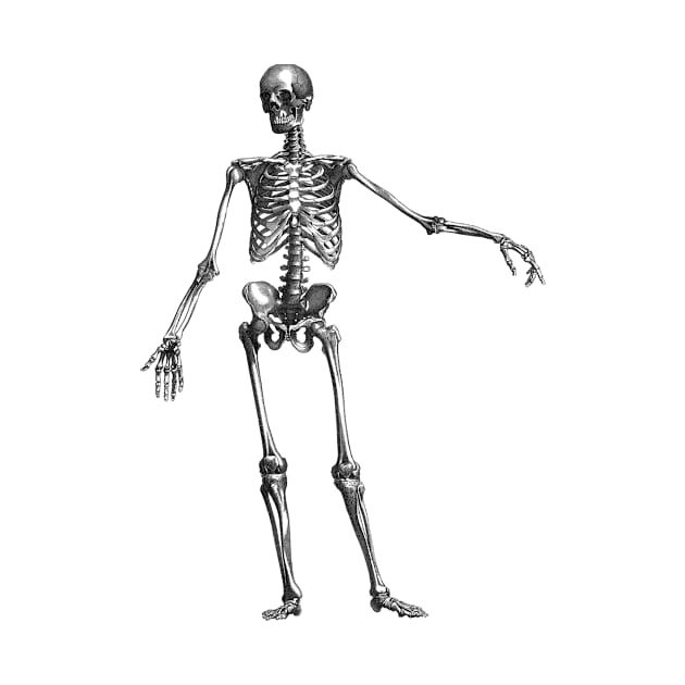 Funny weird skeleton torso Halloween by RedThorThreads