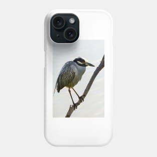 Yellow-crowned Night Heron Resting On A Branch Phone Case