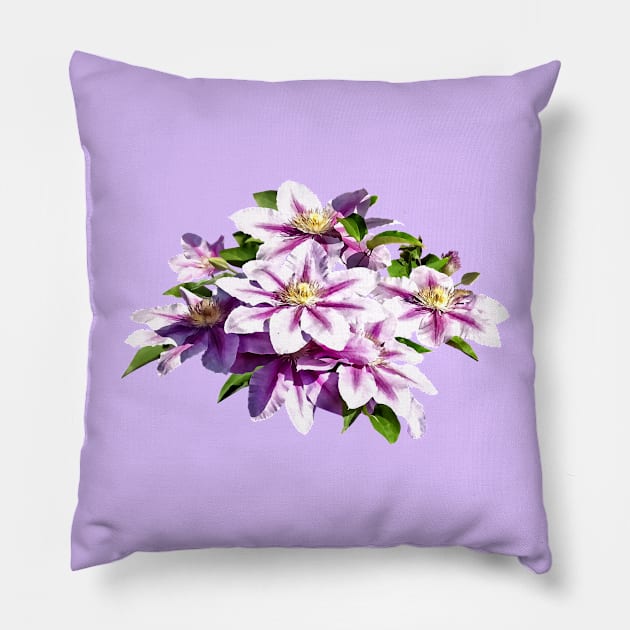 Pale Pink Clematis Pillow by SusanSavad