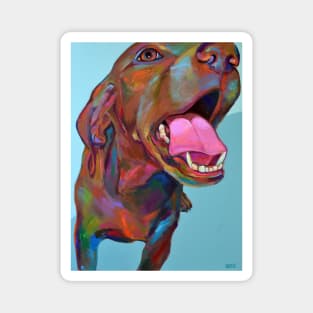 Colorful VIZSLA Painting by Robert Phelps Magnet