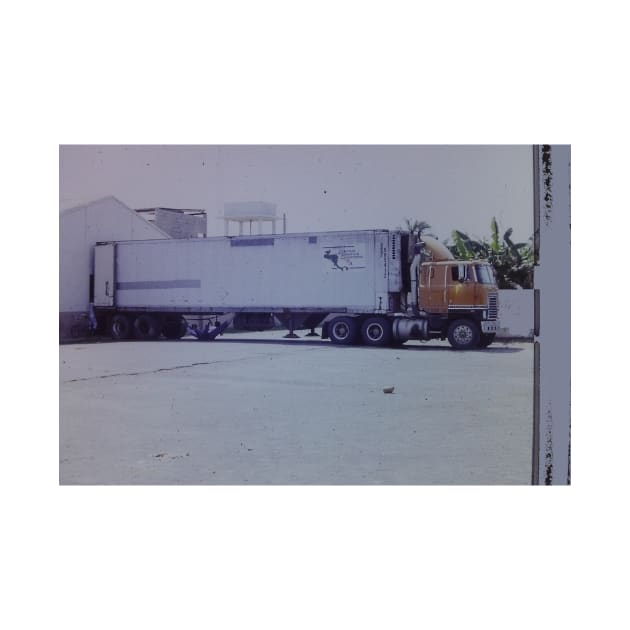 Afternoon nap in the shadow of a trailer truck Guatemala 1991 by Roland69