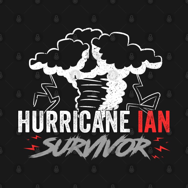 HURRICANE IAN by Noureddine Ahmaymou 