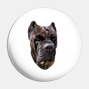 Cane Corso Brindle - Stunning Dog Pin