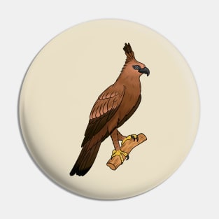 Javan hawk eagle bird cartoon illustration Pin