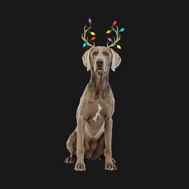 Weimaraner Reindeer Christmas by bienvaem