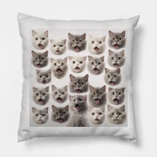 Package of surprised kittens Pillow