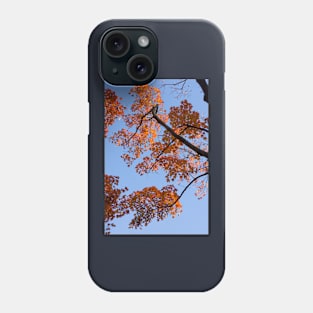 Fall colors Phone Case