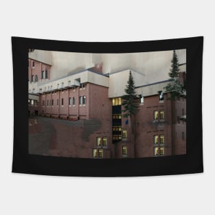 Bemidji State University 1 Tapestry