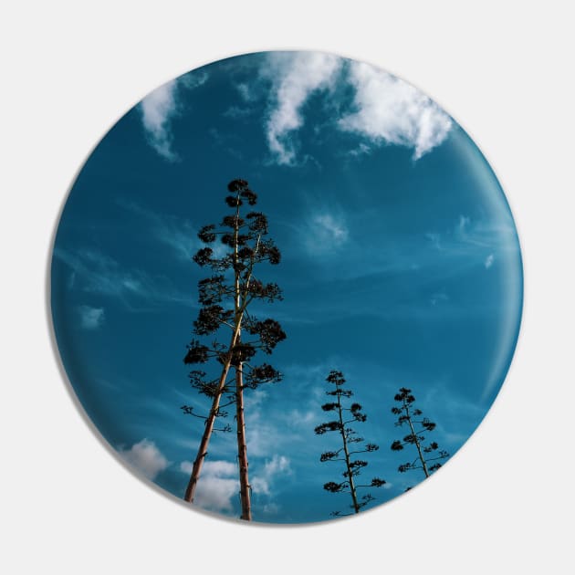 Agave Tree Pin by RenataCacaoPhotography