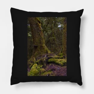 Fiordland 3 Pillow