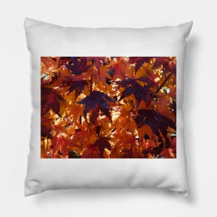 Red Autumn leaves backlit by the rising sun Pillow