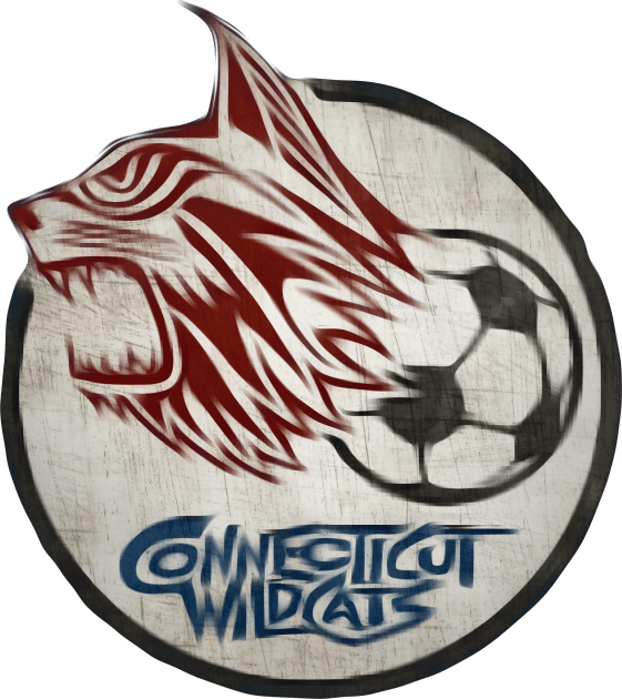 Connecticut Wildcats Soccer Kids T-Shirt by Kitta’s Shop