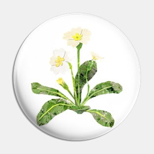 Common Primrose Pin