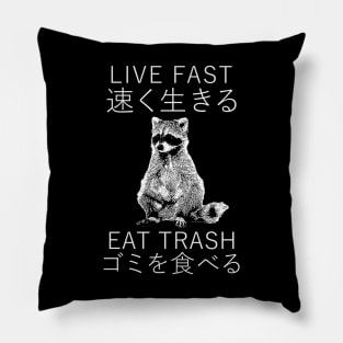 LIVE FAST RACCOON JAPANESE Pillow