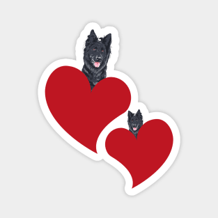 Groenendael Belgian Shepherd in Heart Magnet