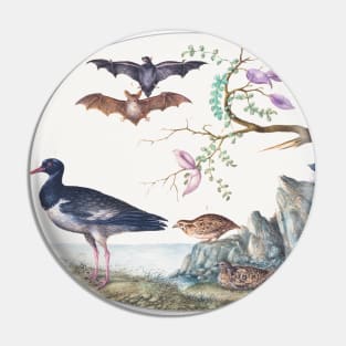 Bats, Quail, and Oystercatcher by the Water (1575–1580) Pin