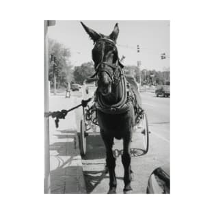 A Mule in New Orleans T-Shirt