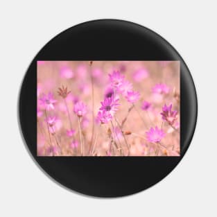 Wild pink meadow flowers II, nature photography Pin