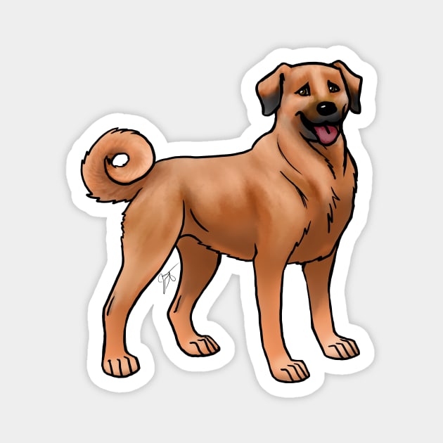 Dog - Anatolian Shepherd - Red Magnet by Jen's Dogs Custom Gifts and Designs