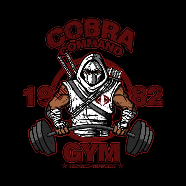 Cobra Command Gym by AndreusD