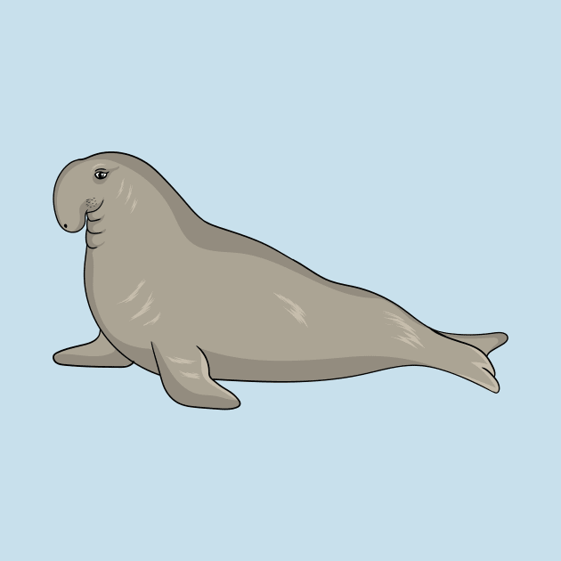 Elephant seal cartoon illustration by Cartoons of fun