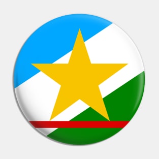 Flag of Roraima Pin